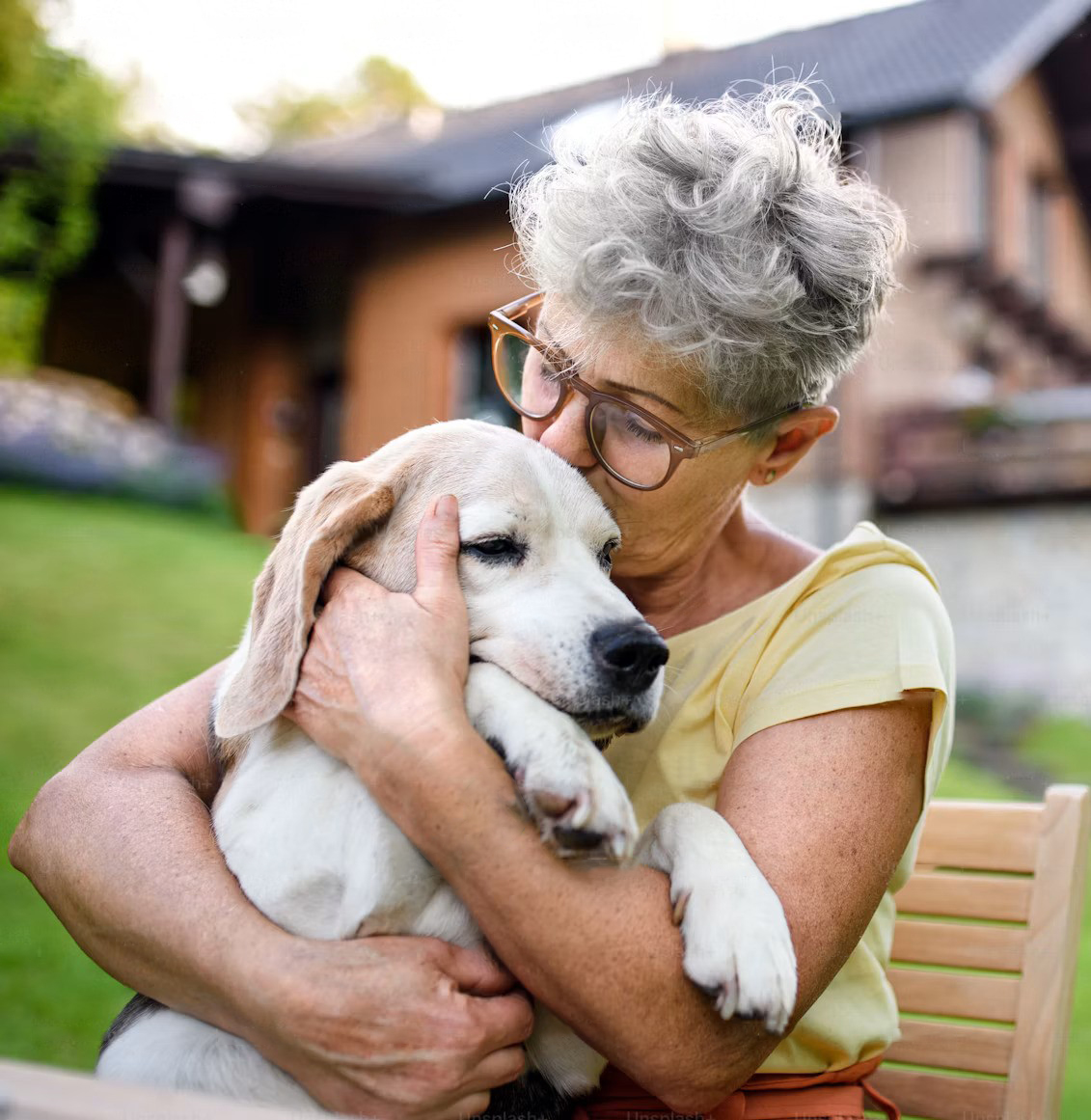 Caring for a senior dog
